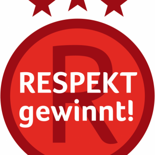 Respekt gewinnt!: Die Preiträgerteams 2012