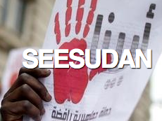 seesudan – Informationen zur politischen Situation im Sudan – Blog