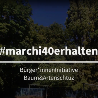 Bürger:inneninitiative 10243Baum&Artenschutz